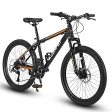 Adult bike