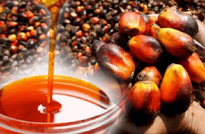 Palm Oil